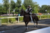 Immagine <b>REG_9315</b>